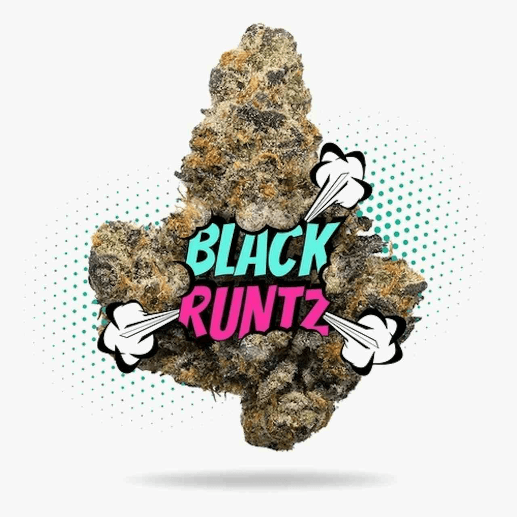 Black Runtz - Topshelf Indoor - New Drop - Hybrid