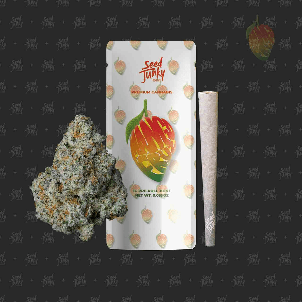 MANGO FRUZ (1G Pre-Roll)