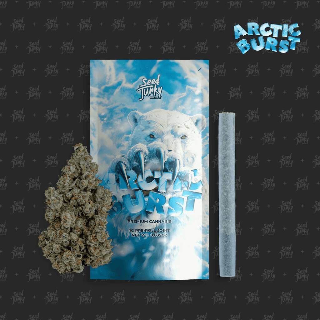ARCTIC BURST (1G Pre-Roll)