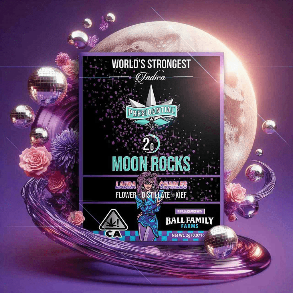 Presidential Moon Rocks - Laura Charles 2g