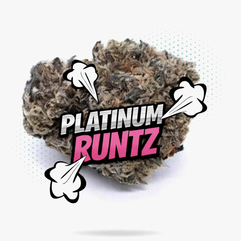 Platinum Runtz Top Shelf Indoor - 3.5g - Hybrid