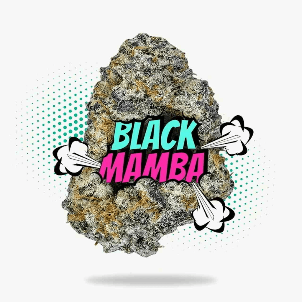 Black Mamba - Topshelf Indoor 28g - Hybrid