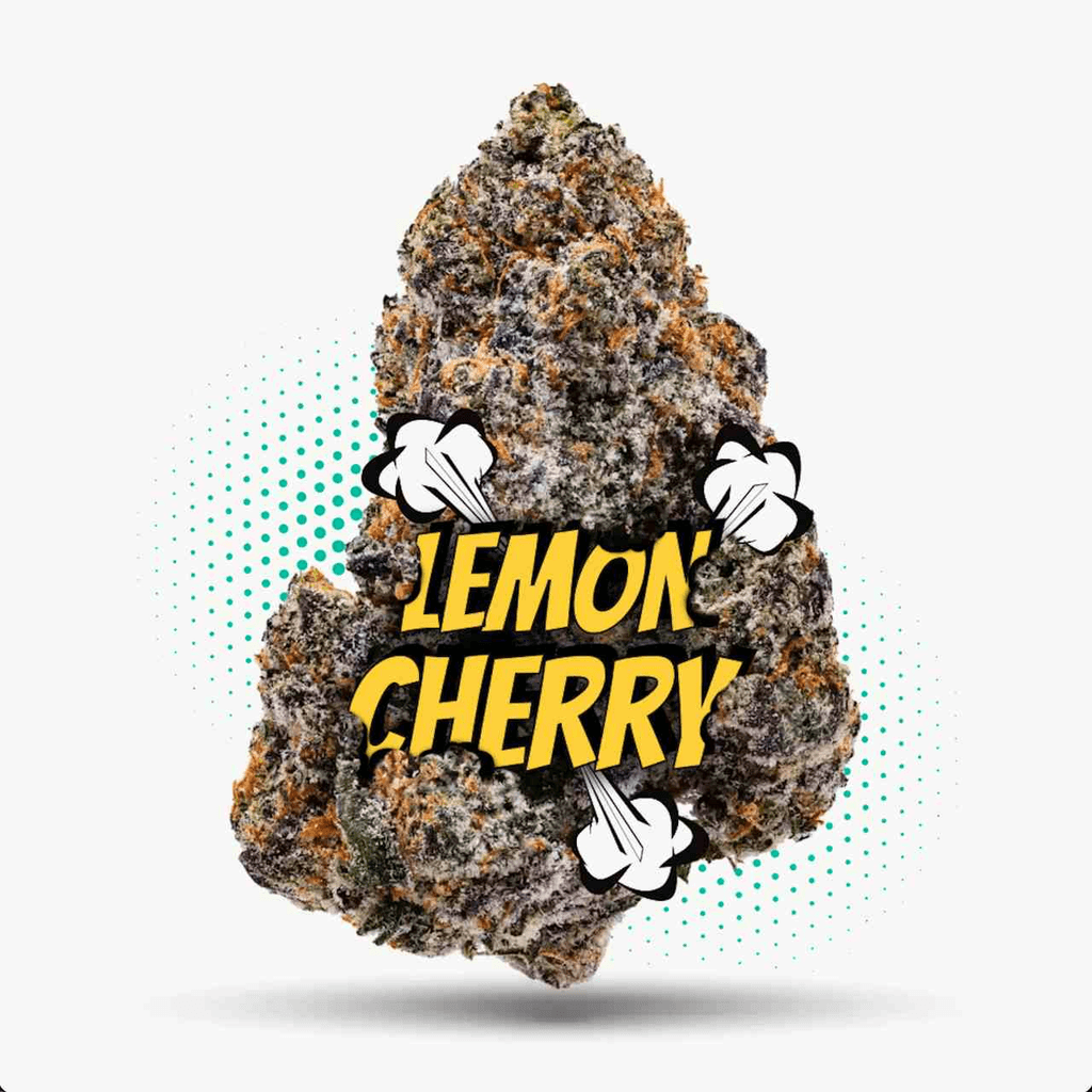 LCG - Topshelf Indoor- New Drop- Hybrid