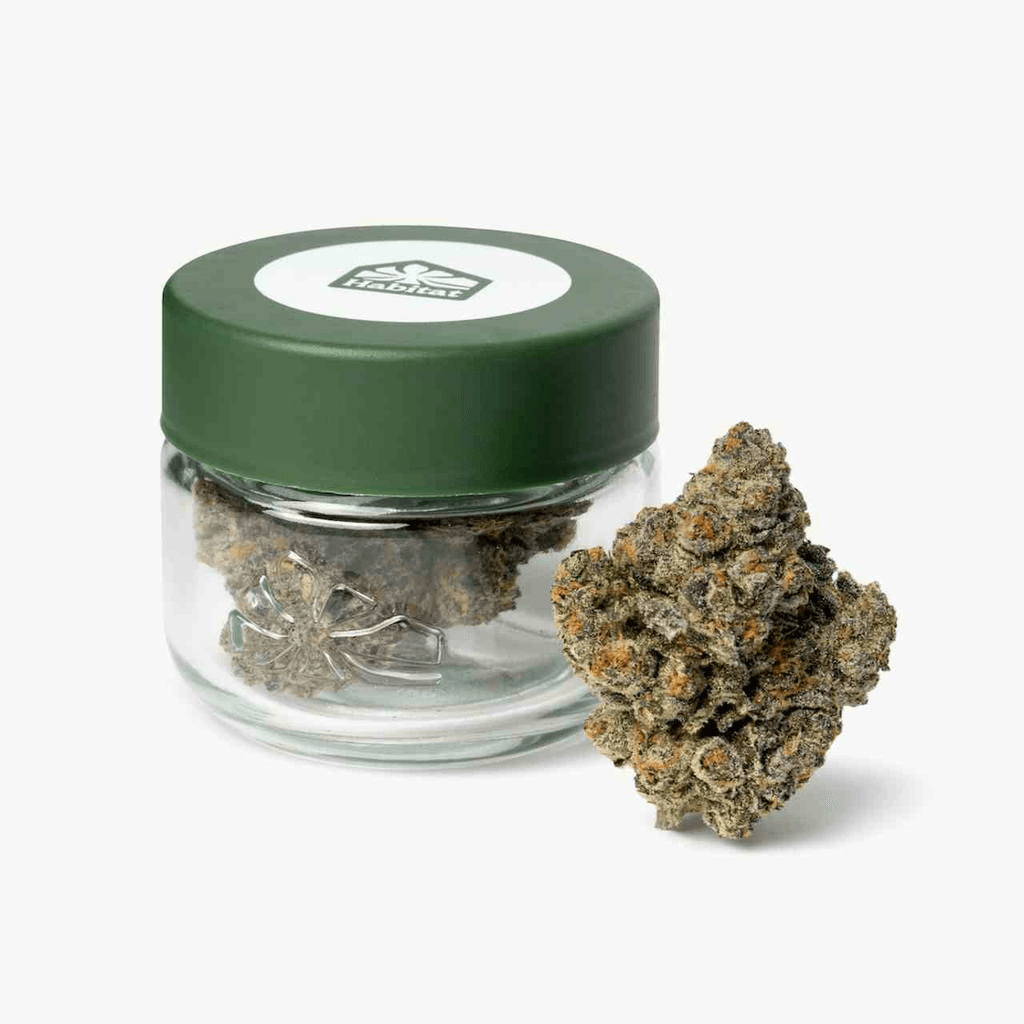 Champagne - 3.5g Indoor Flower