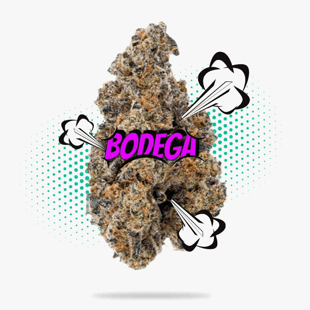 Bodega Top Shelf Indoor - Hybrid