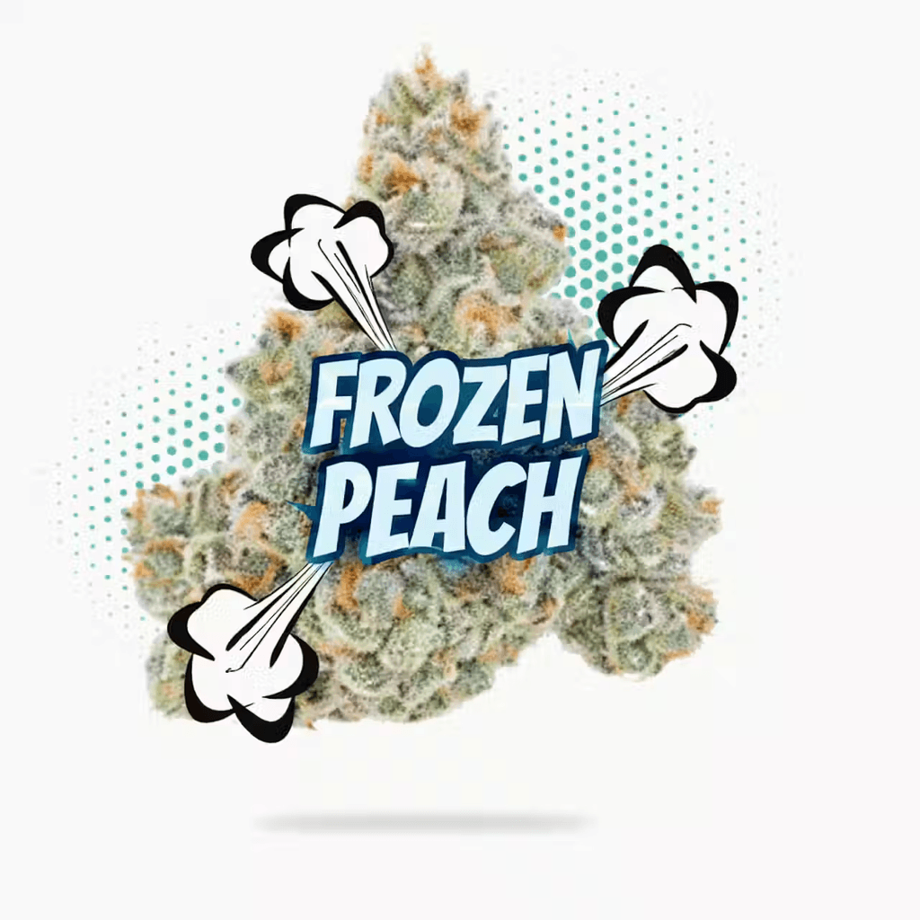Frozen Peach (3.5g - 1/8oz) - Topshelf Indoor - Hybrid