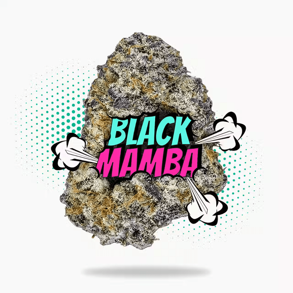 Black Mamba (3.5g - 1/8oz) - Topshelf Indoor - Hybrid