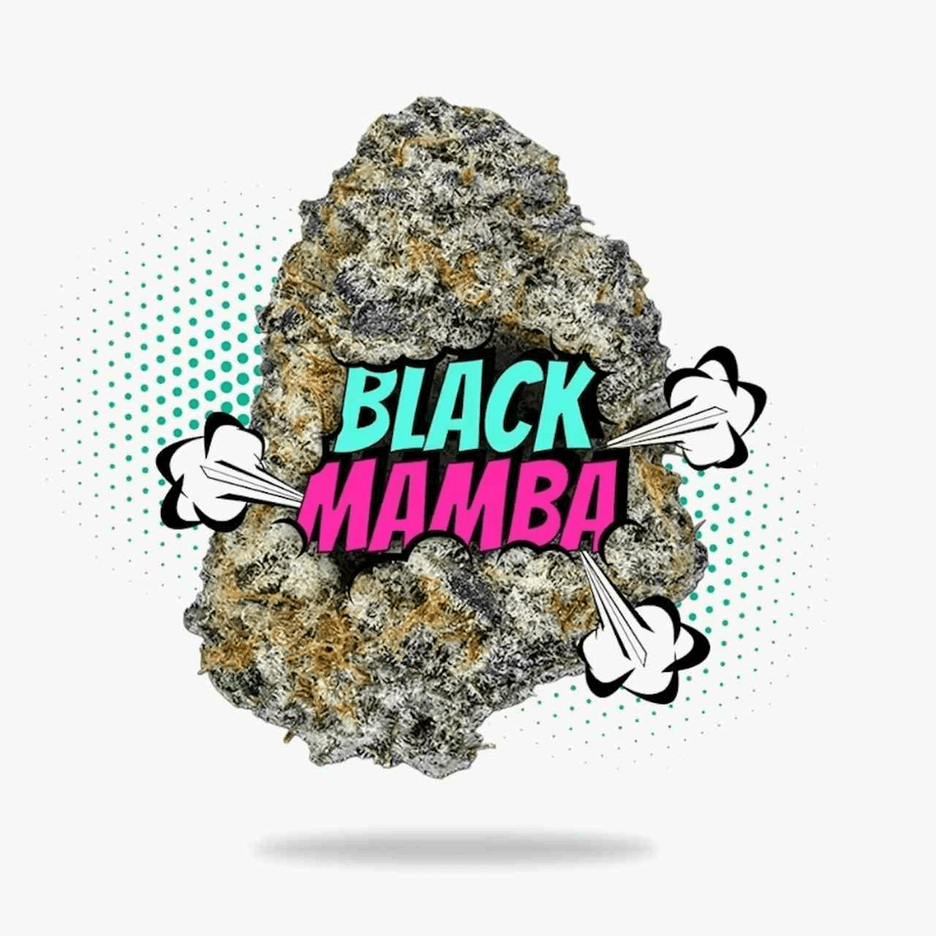 Black Mamba Smalls - Topshelf Indoor - New Drop - Hybrid