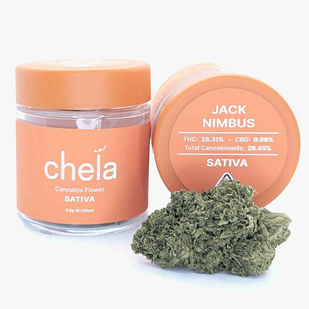 Chela - Light - Jack Nimbus