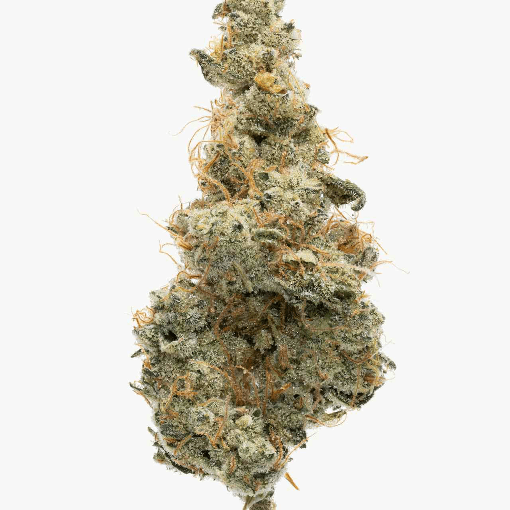 Garlic Juice - 3.5G Top Shelf Indoor Flower - Headstash