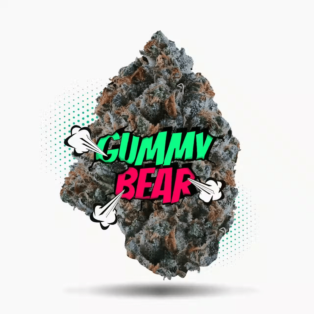 Gummy Bear (3.5g - 1/8oz)- Topshelf Indoor - Hybrid