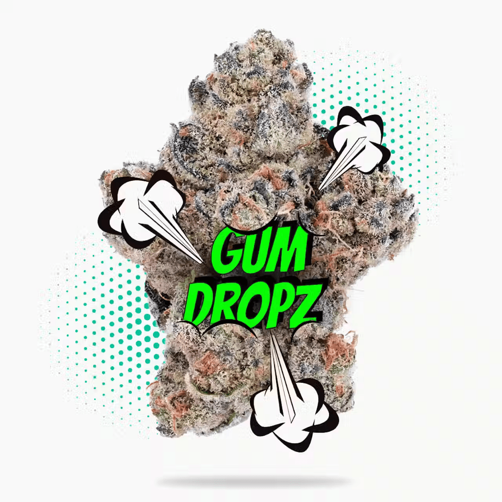 GumDropz - Topshelf Indoor - 3.5g - New Drop - Hybrid