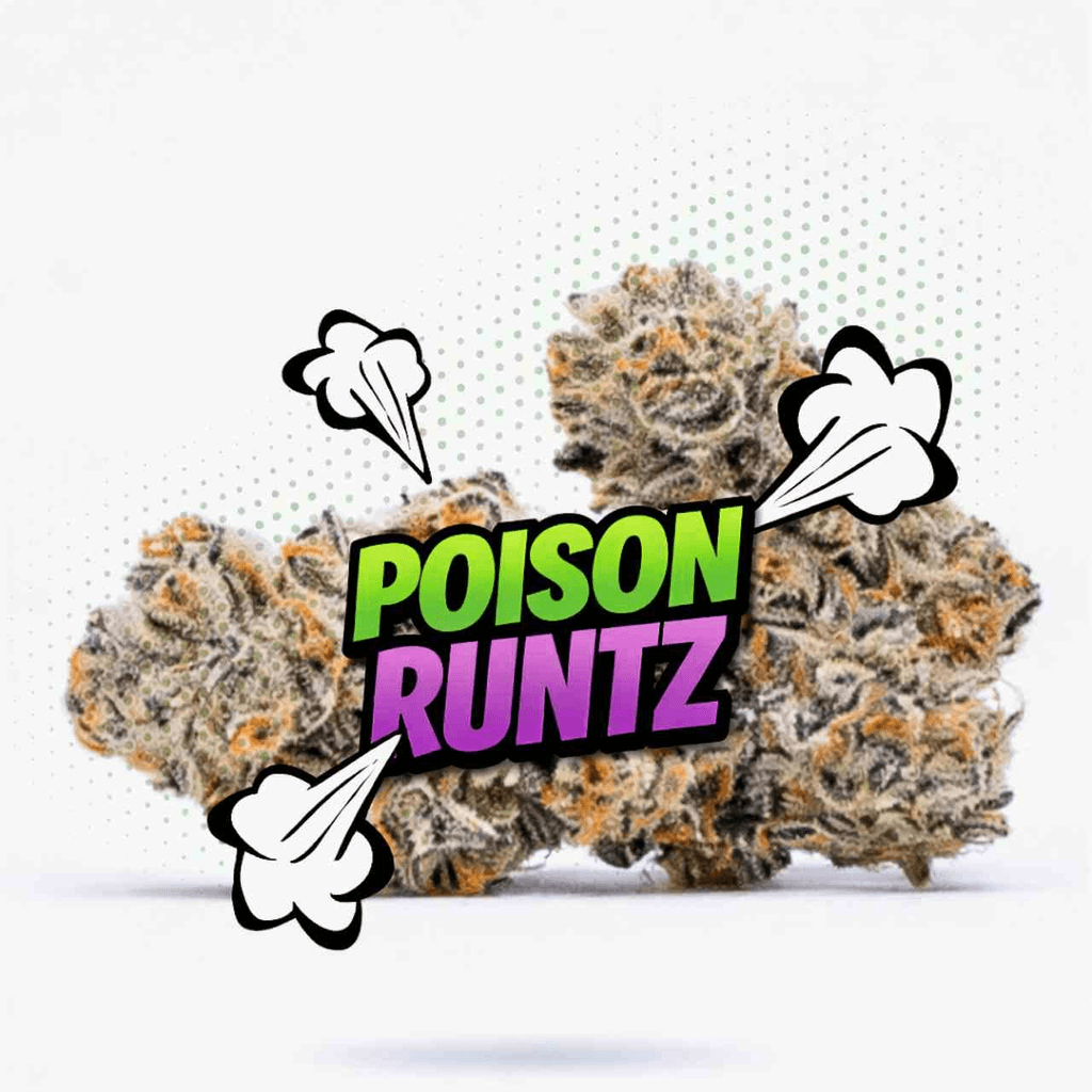 Poison Runtz Top Shelf Indoor 3.5g - Hybrid