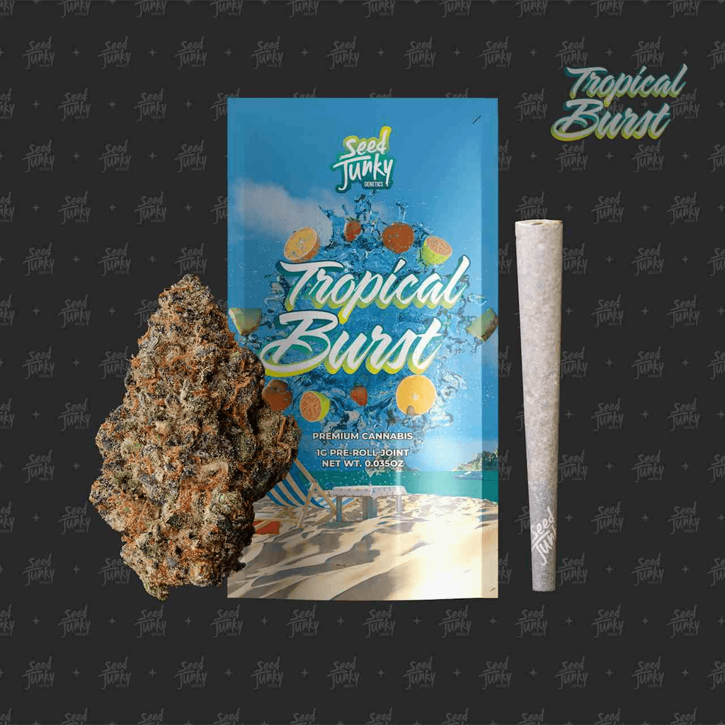 TROPICAL BURST (1G Pre-Roll)
