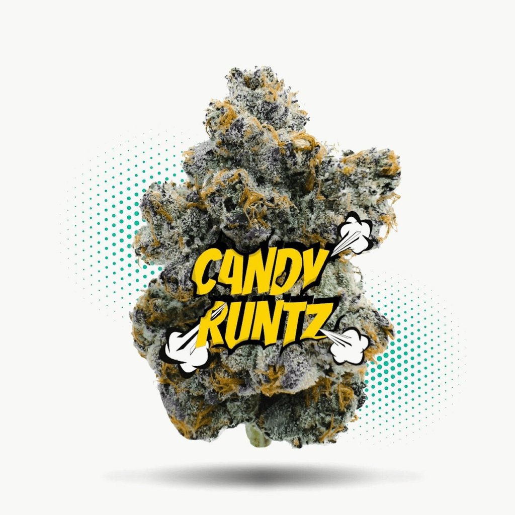 Candy Runtz - Topshelf Indoor - New Drop - Hybrid