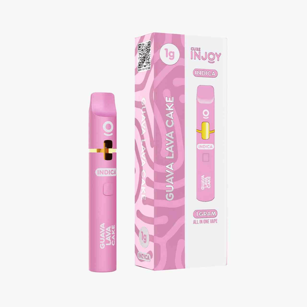 Guava Lava Cake - 1g AIO (INDICA)