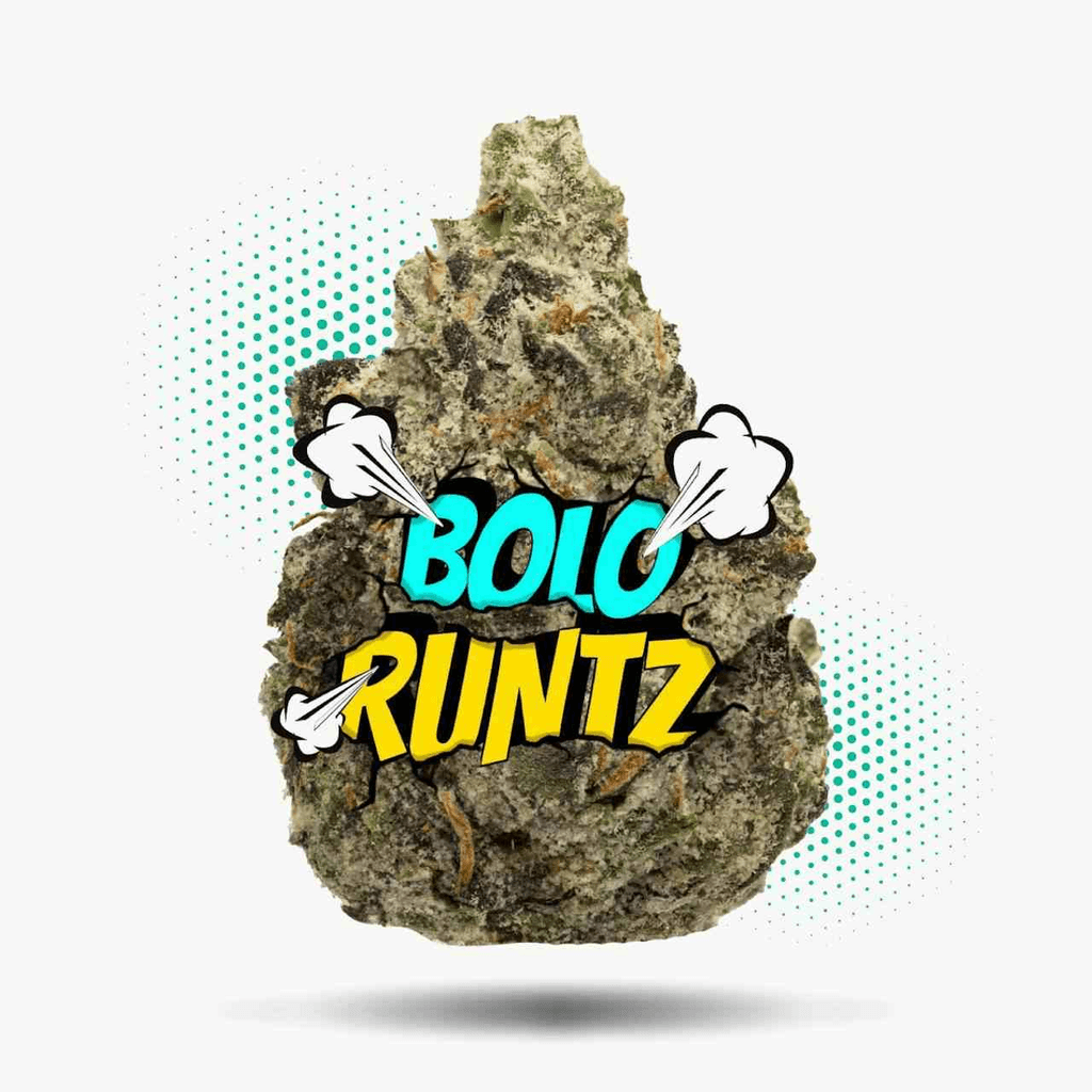 Bolo Runtz (3.5g - 1/8oz) - Topshelf Indoor - Hybrid