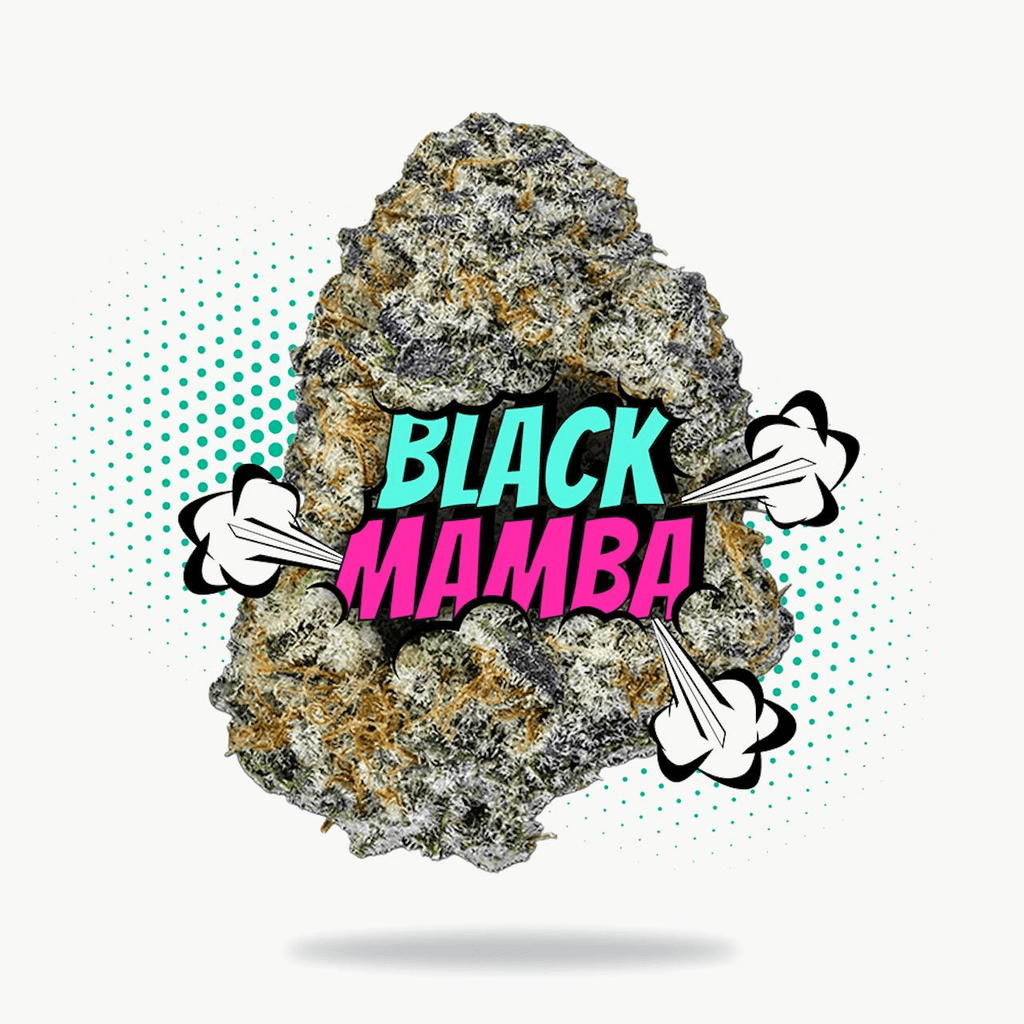 Black Mamba - Topshelf Indoor - New Drop - Hybrid