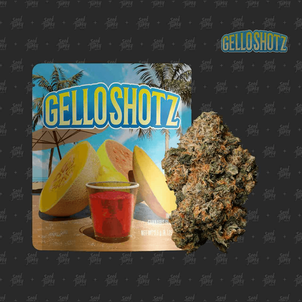GELLO SHOTZ - 3.5G