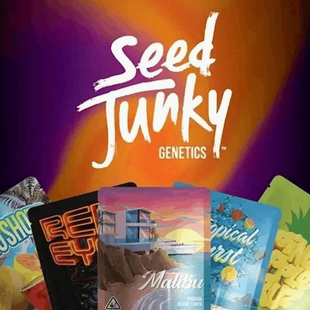PINEAPPLE SHOTS SMALLS - 14g