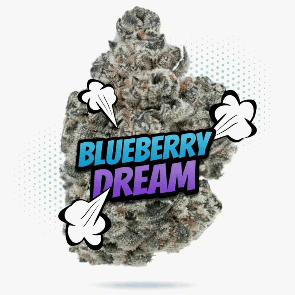 Blueberry Dream Top Shelf Indoor 28g - Sativa