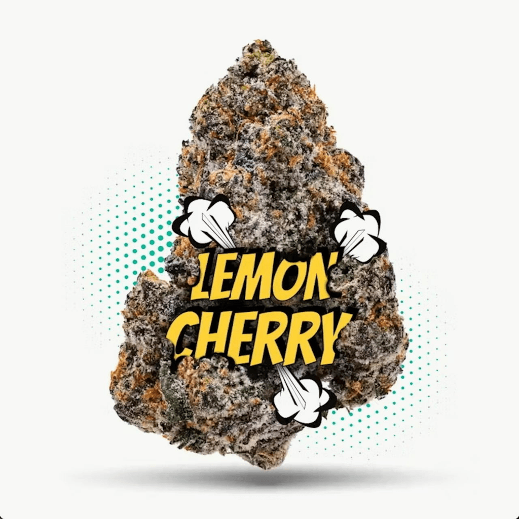 LCG - Topshelf Indoor 28g - Hybrid