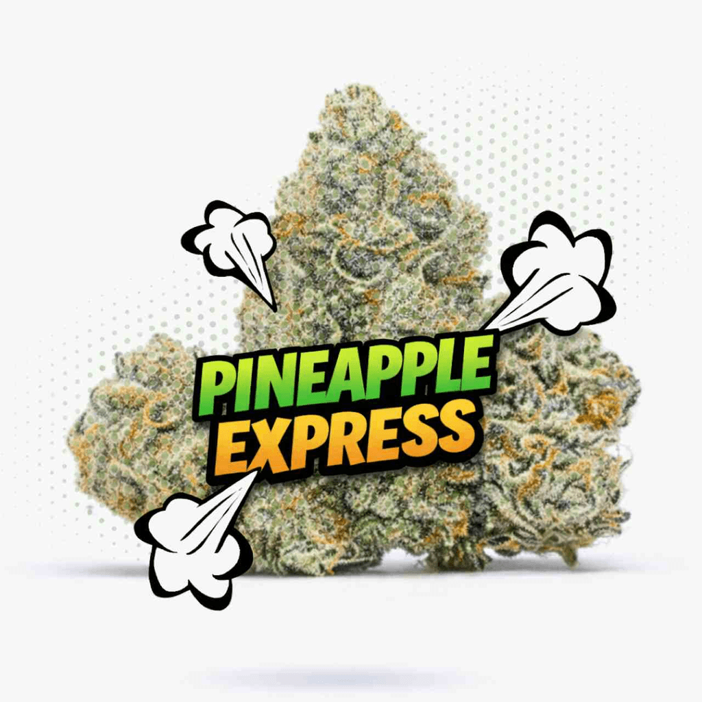 Pineapple Express (3.5g - 1/8oz) - Topshelf Indoor - Sativa