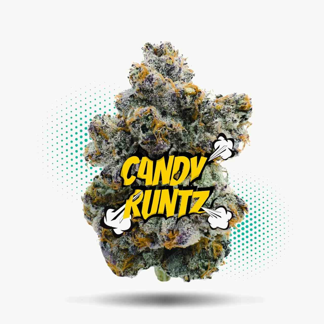 Candy Runtz (3.5g - 1/8oz)- Topshelf Indoor - Hybrid