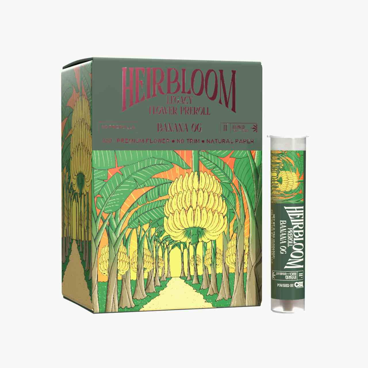 Banana OG Pre Roll