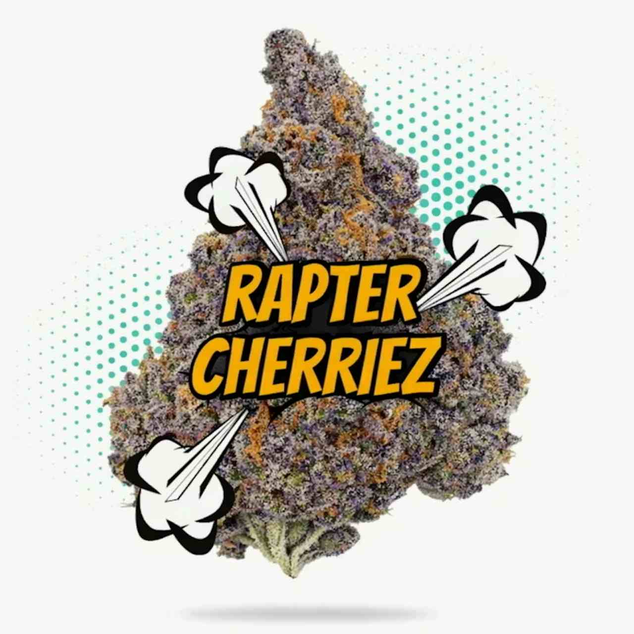 Rapter Cherriez - Topshelf Indoor 28g - Hybrid