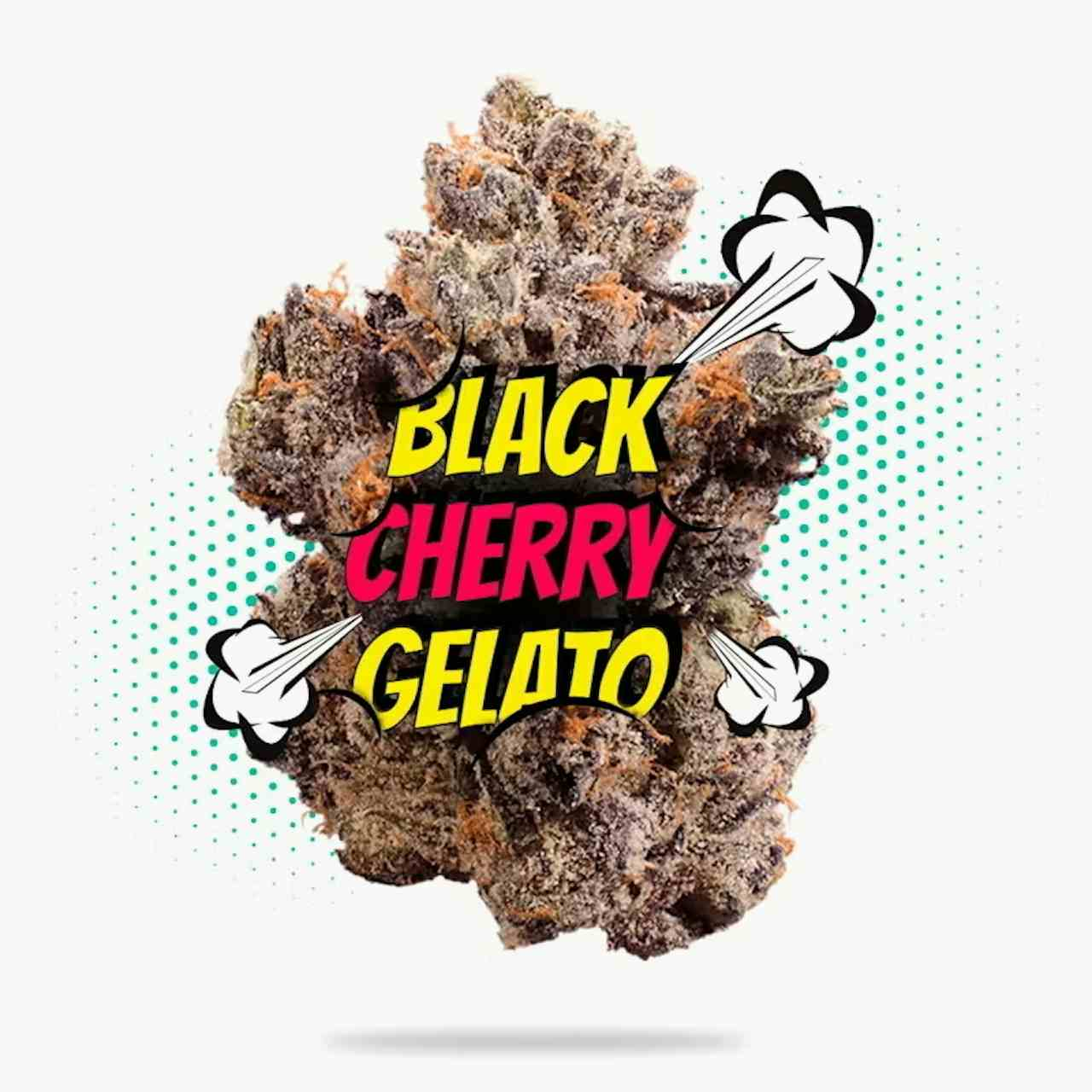 Black Cherry Gelato Top Shelf Indoor 28g - Hybrid