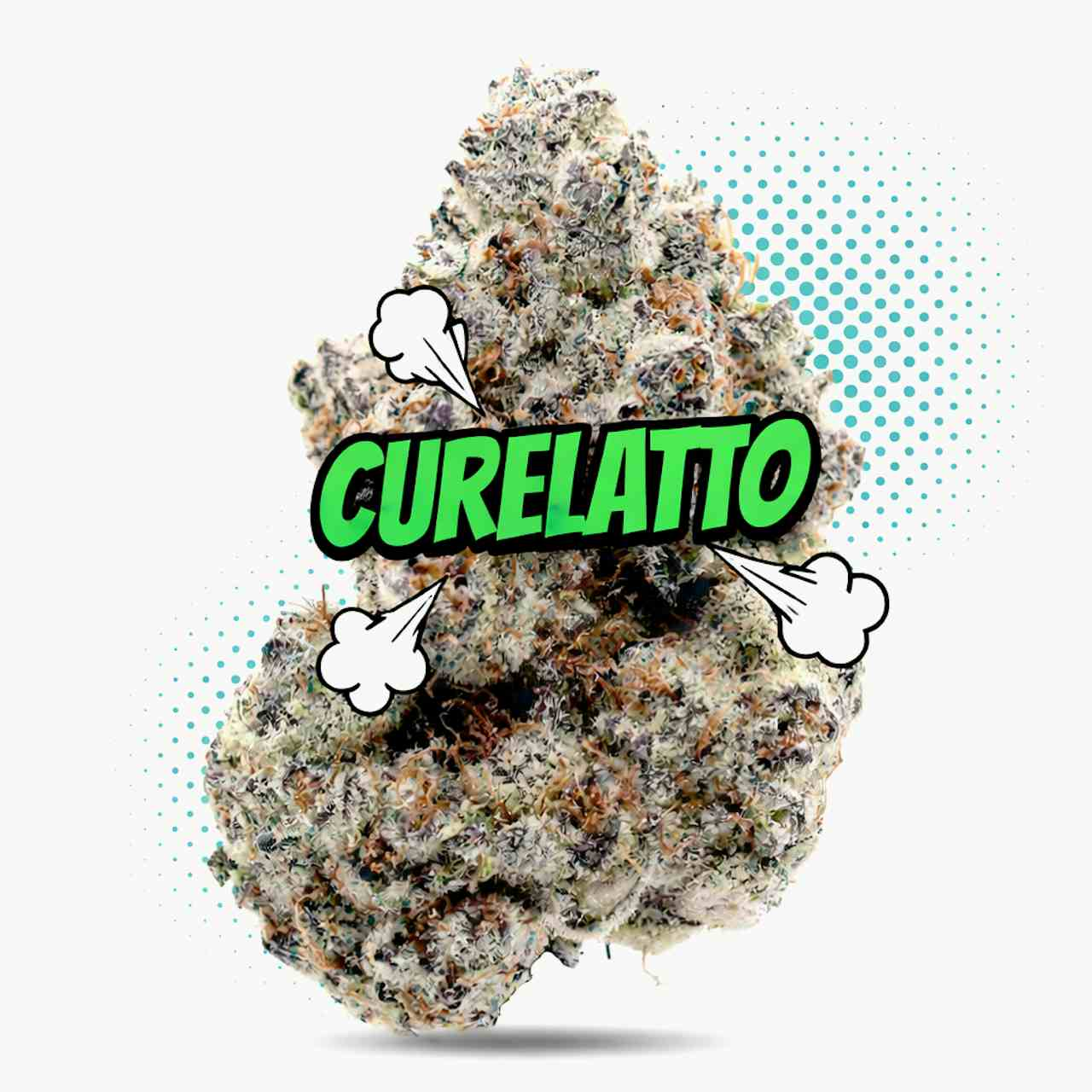 Curelatto 33 Top Shelf Indoor - Hybrid