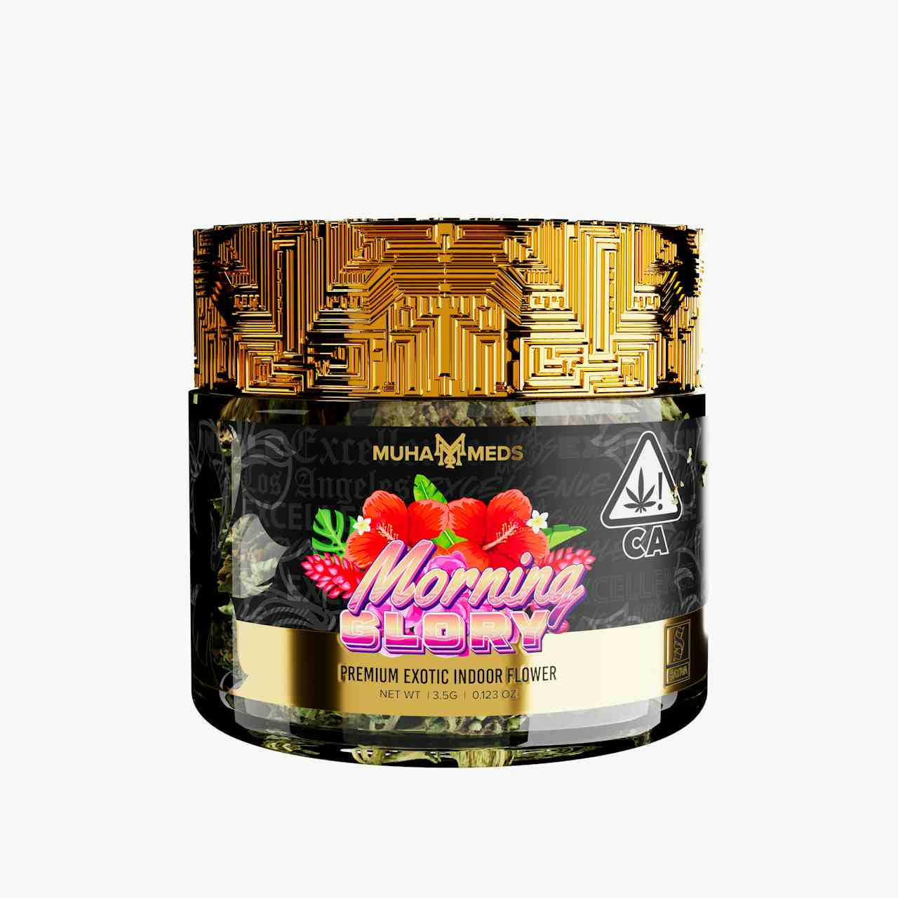 Morning Glory Indoor Flower