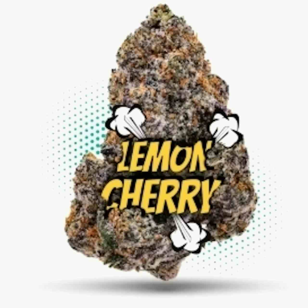 Lemon Cherry Gelato - Topshelf Indoor - New Drop - Hybrid