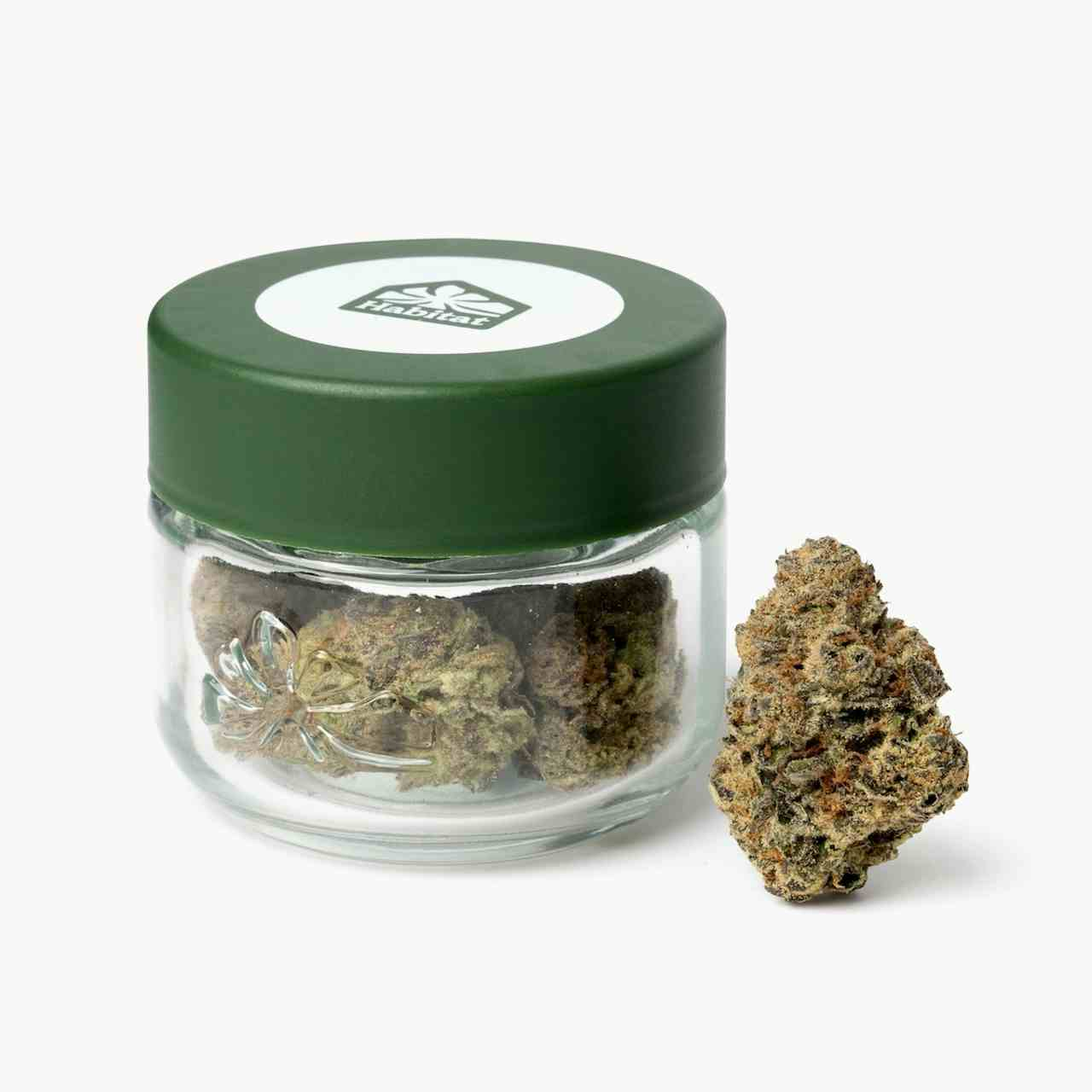 Roze - 3.5g Indoor Flower