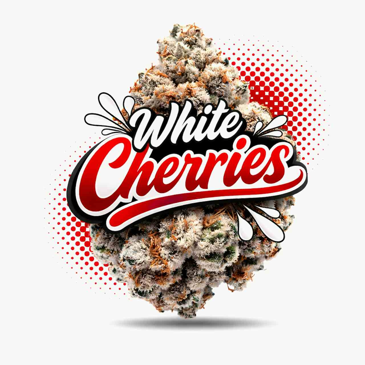 White Cherries - Topshelf Indoor - New Drop - Hybrid